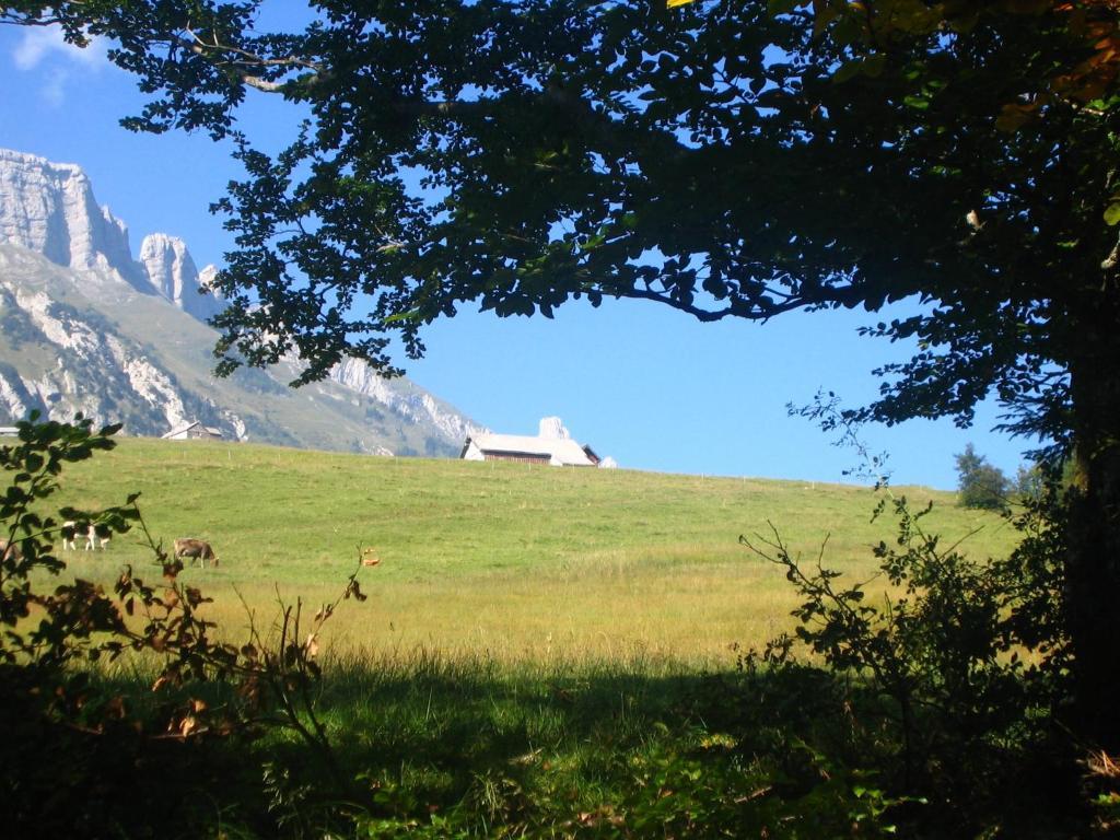 Zimmer & Z'Morgae Schoenenboden Wildhaus Buitenkant foto